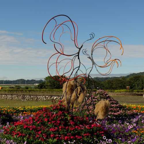 河濱公園小花海